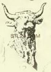 ANIMAL_0122